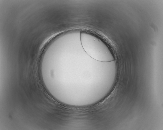 X0000115691262200911121000