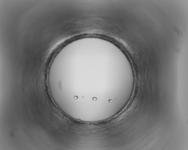 X0000115691263200911121000