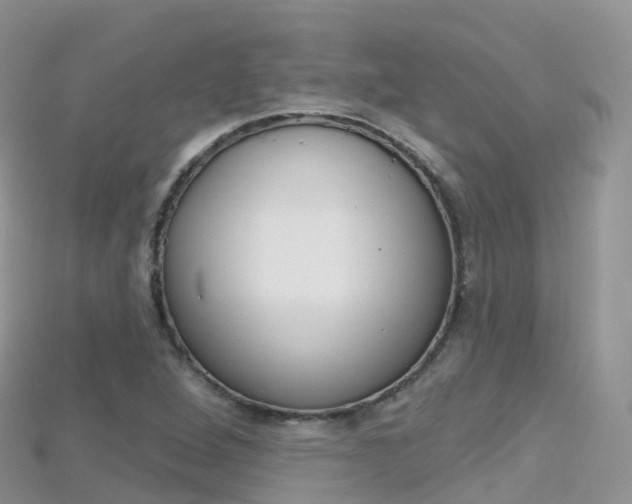 X0000115691264200911121000