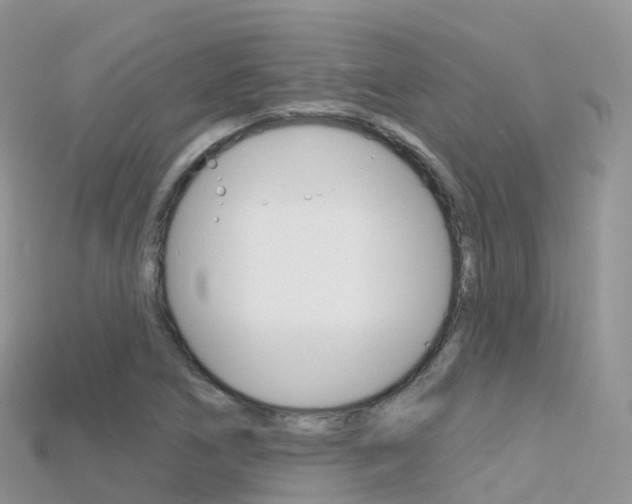 X0000115691266200911121000