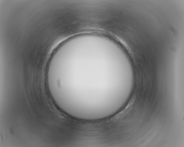 X0000115691267200911121000