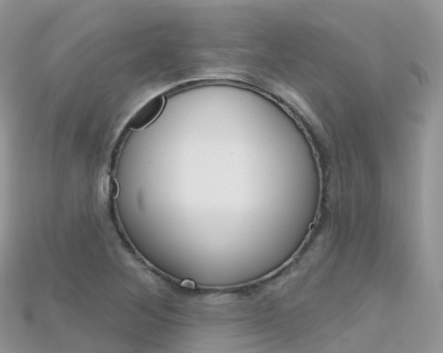X0000115691268200911121000