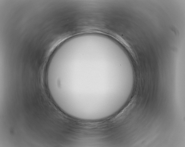 X0000115691269200911121000