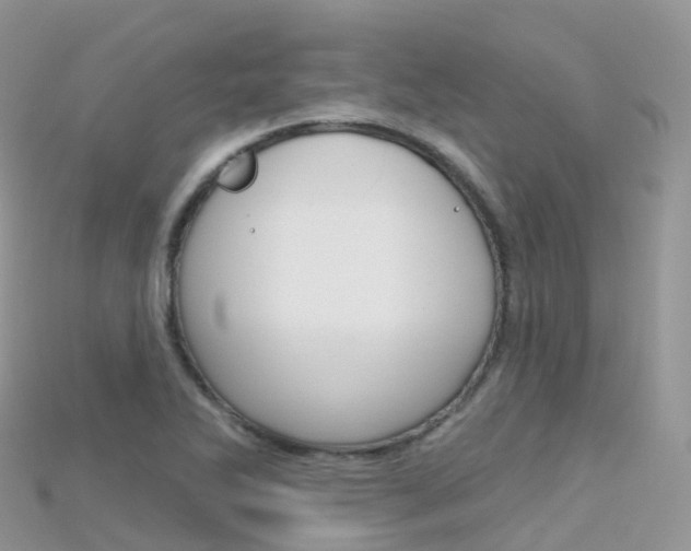 X0000115691270200911121000