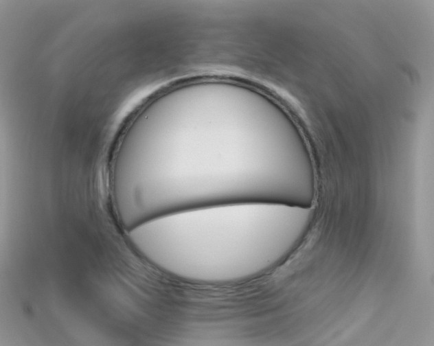 X0000115691271200911121000