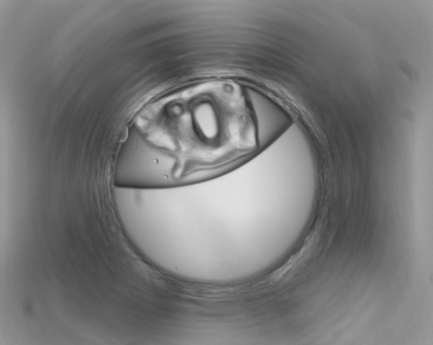 X0000115691273200911121000