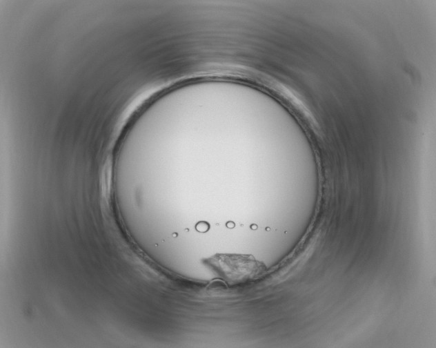 X0000115691275200911121000