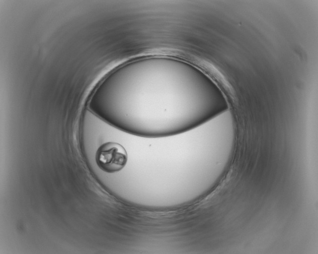X0000115691276200911121000