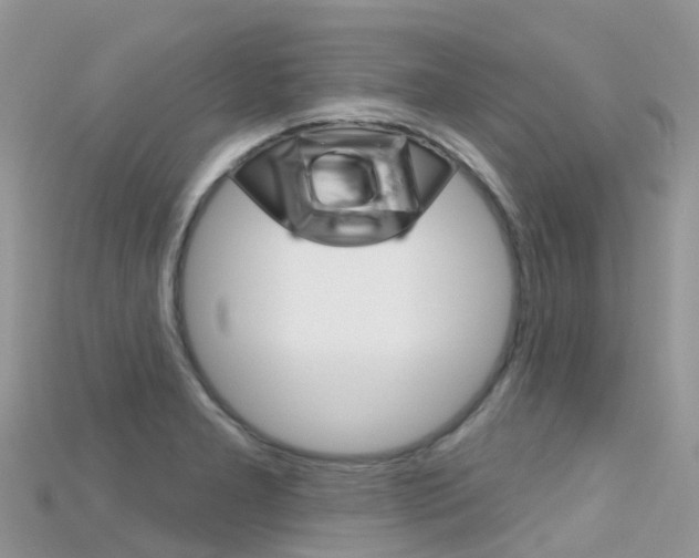 X0000115691277200911121000