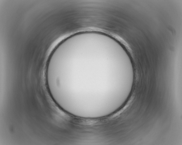 X0000115691278200911121000