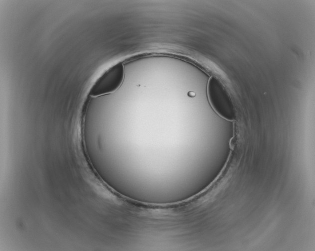 X0000115691280200911121000