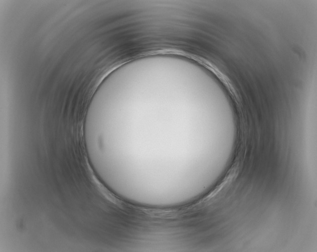 X0000115691281200911121000