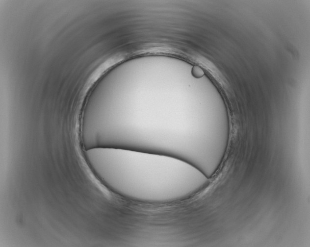 X0000115691282200911121000