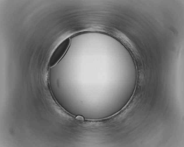 X0000115691284200911121000