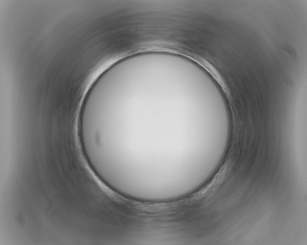 X0000115691285200911121000