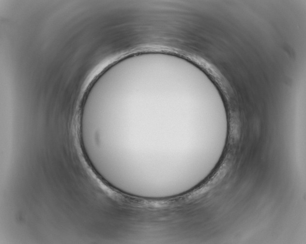 X0000115691286200911121000