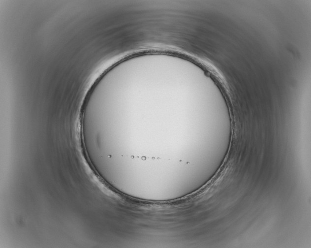 X0000115691287200911121000