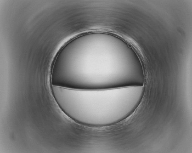 X0000115691288200911121000