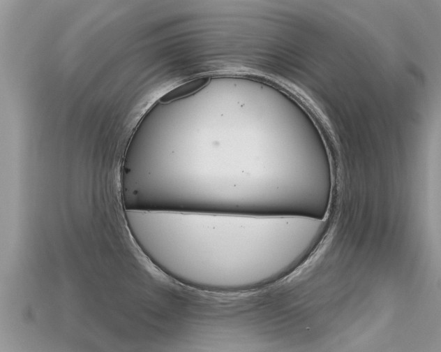 X0000115691289200911121000