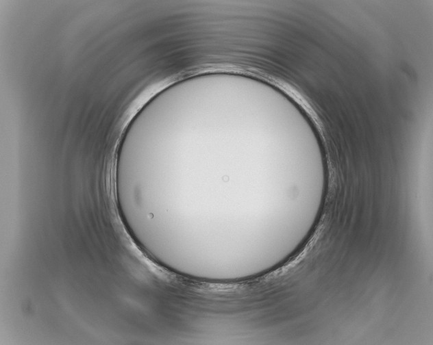 X0000115691290200911121000