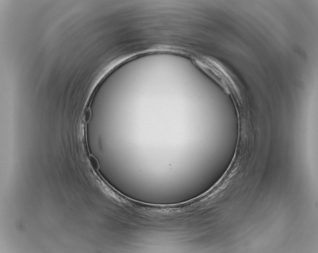 X0000115691292200911121000