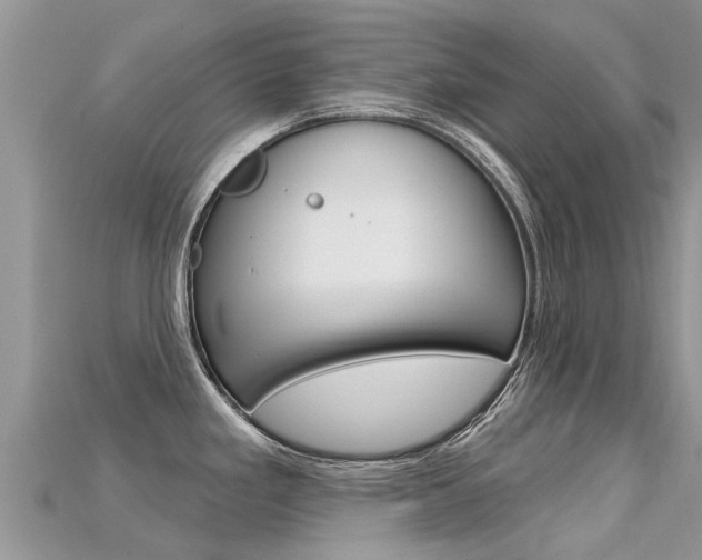 X0000115691293200911121000
