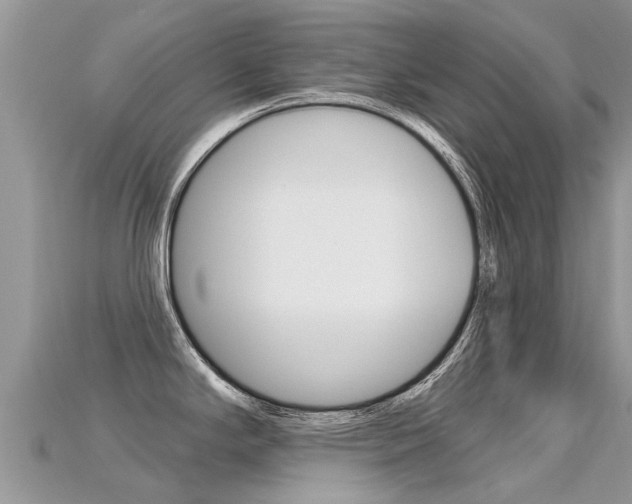 X0000115691294200911121000