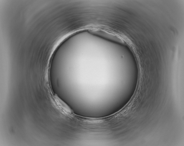 X0000115691296200911121000