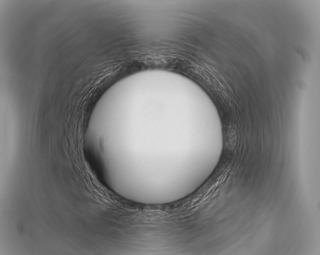 X0000115691297200911120959