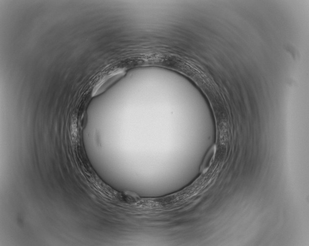 X0000115691298200911120959