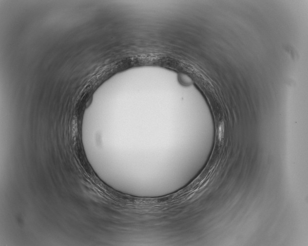 X0000115691299200911120959