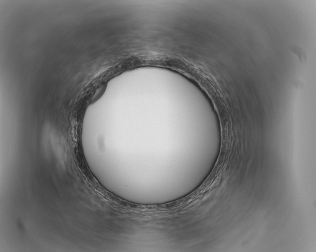 X0000115691301200911120959