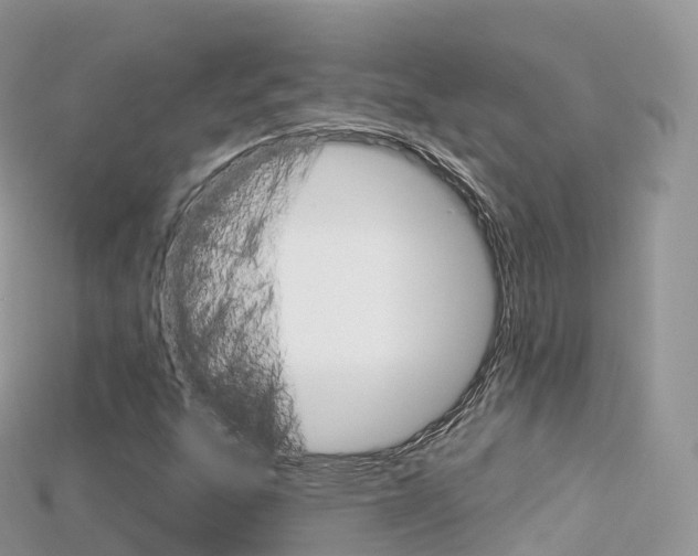X0000115691303200911120959
