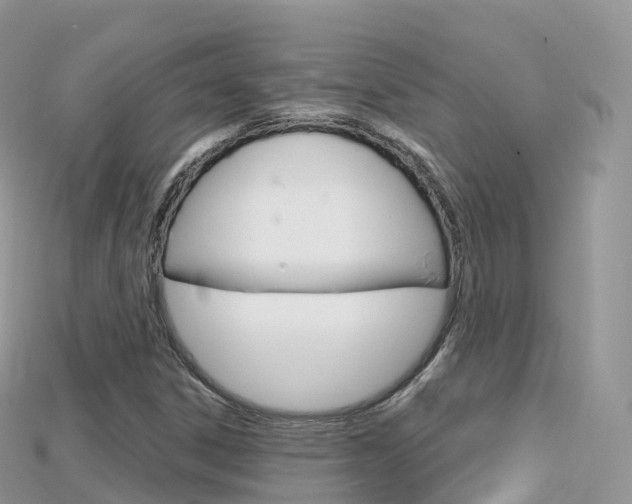 X0000115691306200911120959