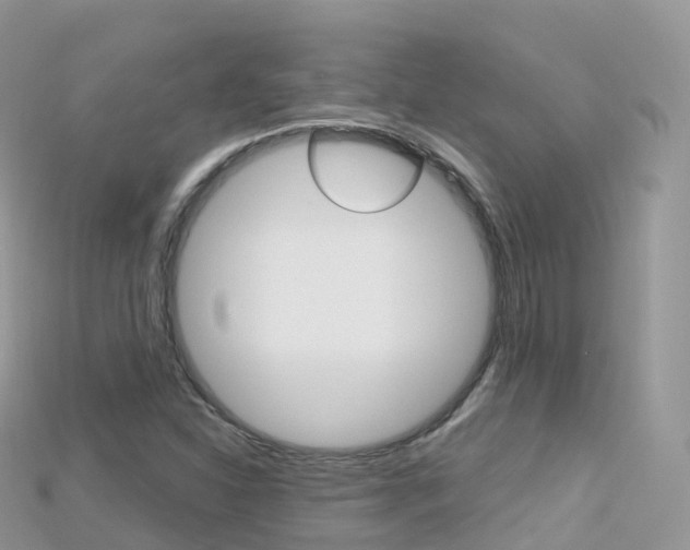 X0000115691310200911120959