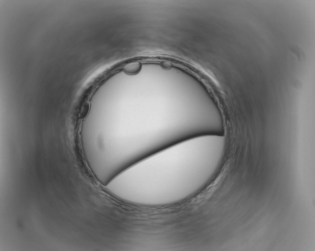 X0000115691311200911120959