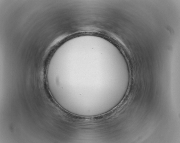 X0000115691315200911120959