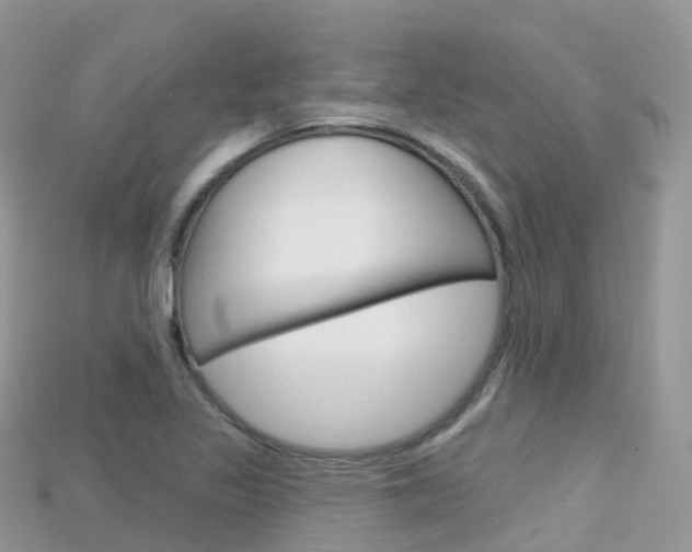 X0000115691317200911120959