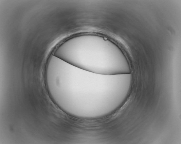 X0000115691318200911120959
