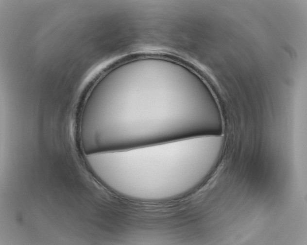 X0000115691319200911120959