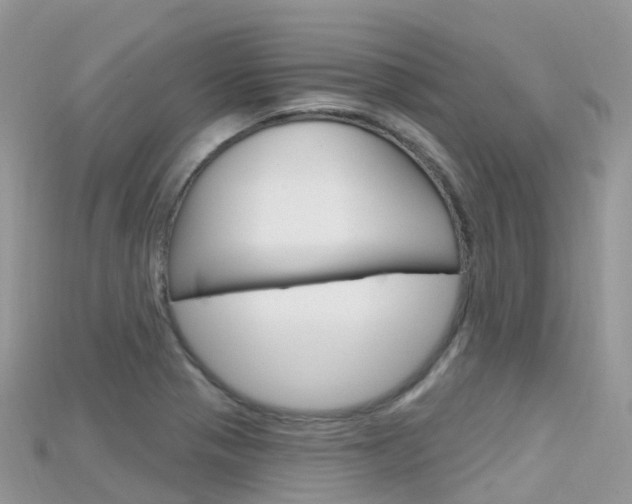 X0000115691321200911120959