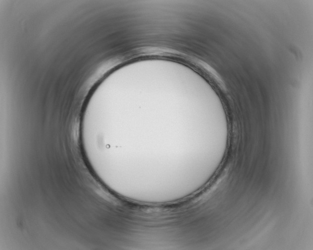 X0000115691322200911120959