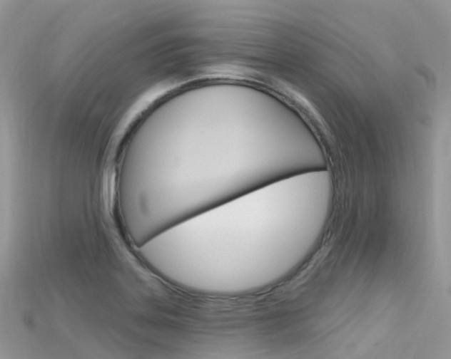 X0000115691323200911120959