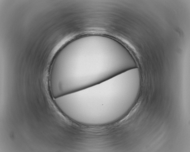X0000115691325200911120959