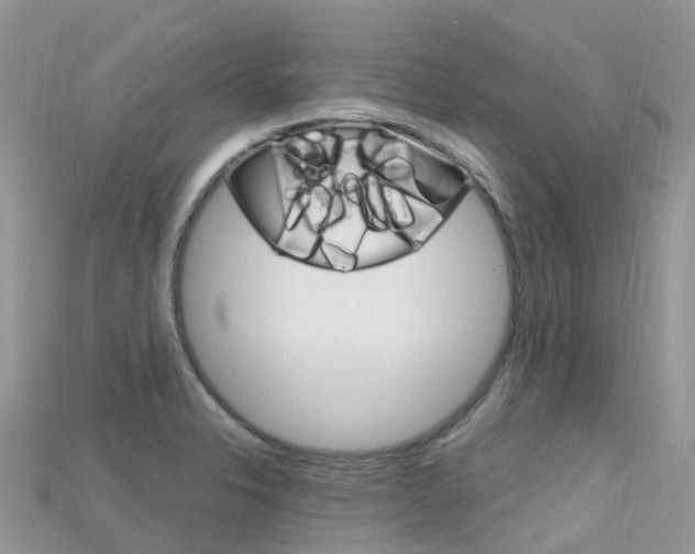 X0000115691326200911120959