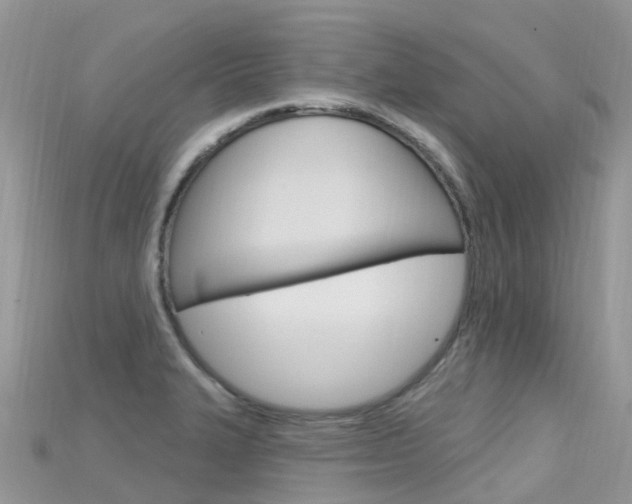 X0000115691327200911120959