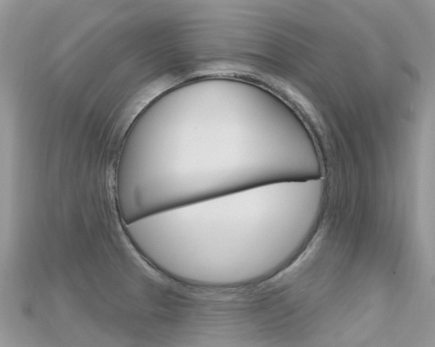 X0000115691329200911120959