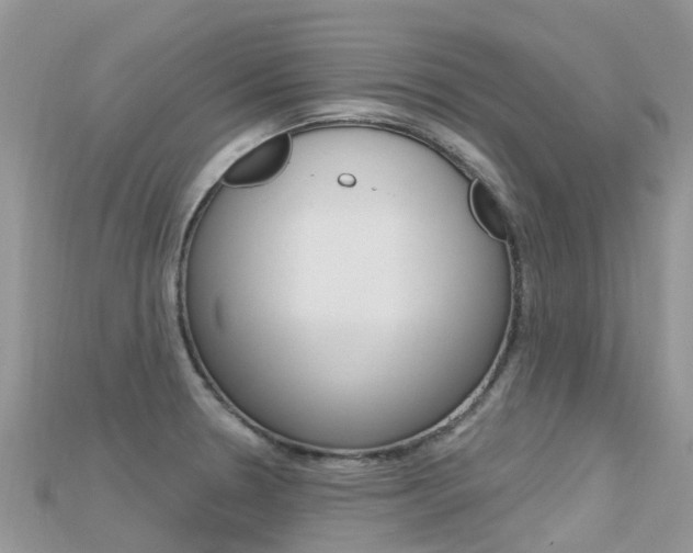 X0000115691330200911120959