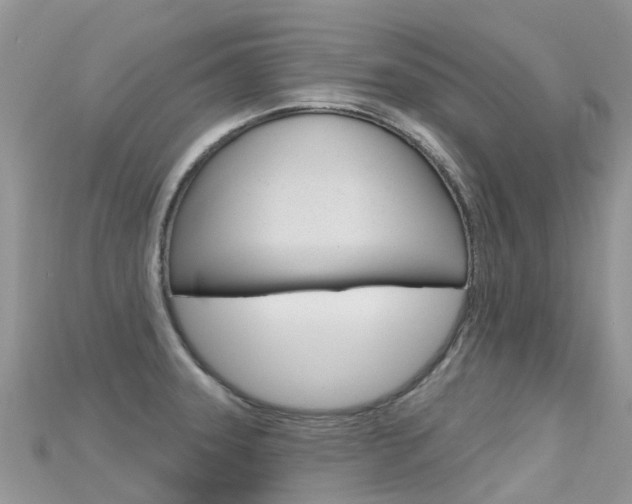 X0000115691331200911120959