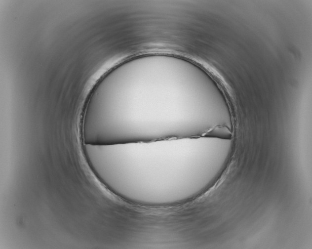 X0000115691333200911120959